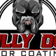 Bully Dog Floor Coatings