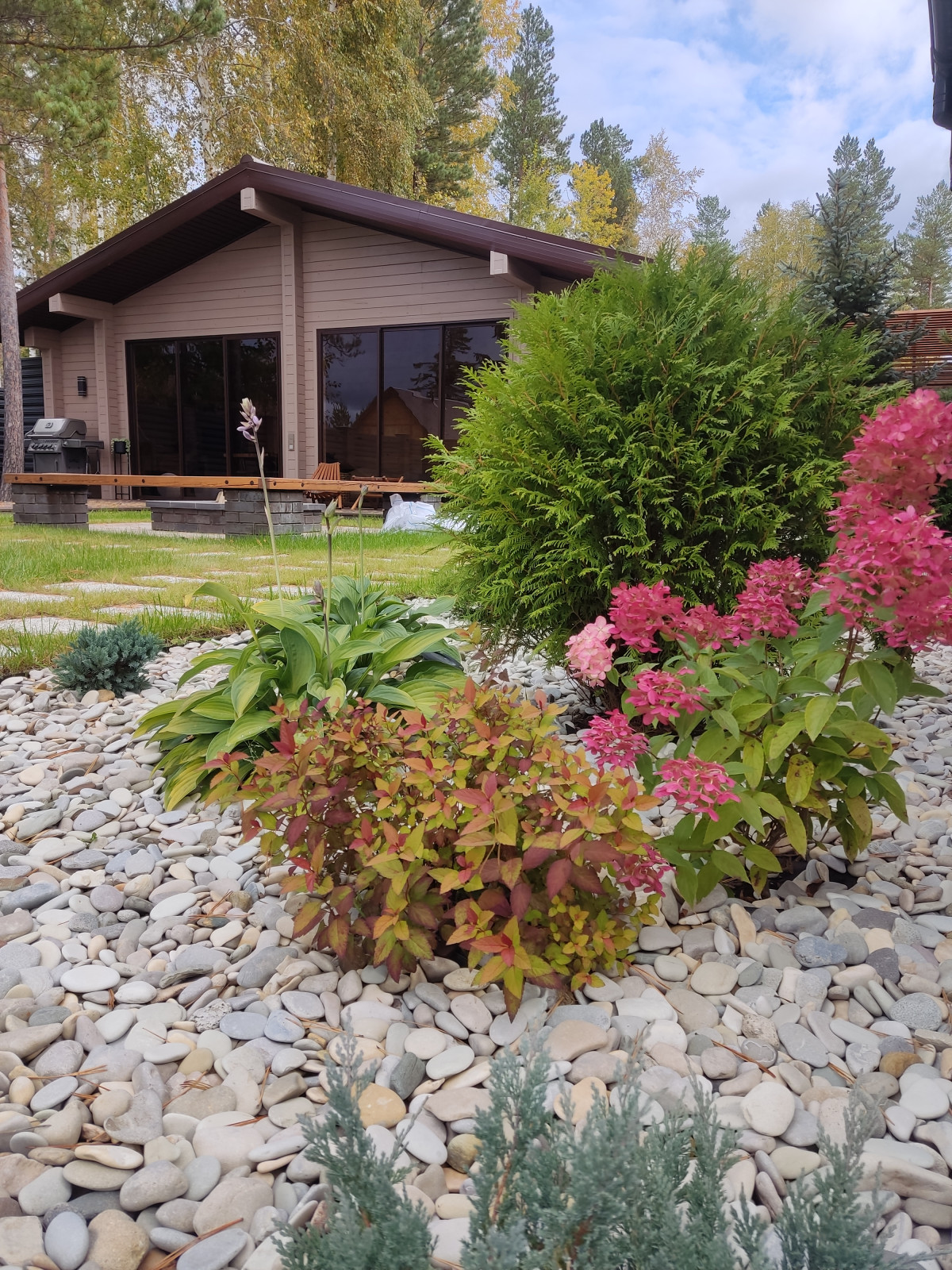 Денис Светлый Яр