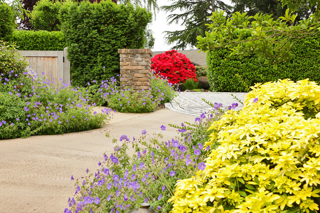 Evergreen Point modern-garten