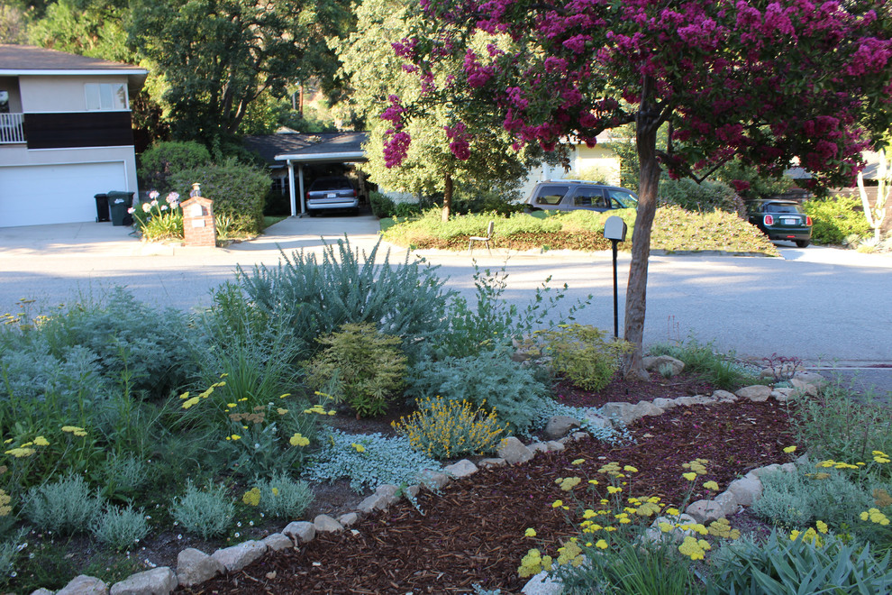 Inspiration for a mid-sized midcentury front yard full sun xeriscape for spring in Los Angeles with mulch.