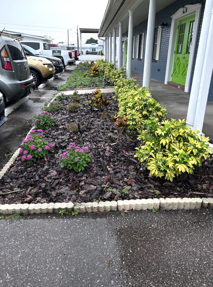 Commercial Front Yard Refresh