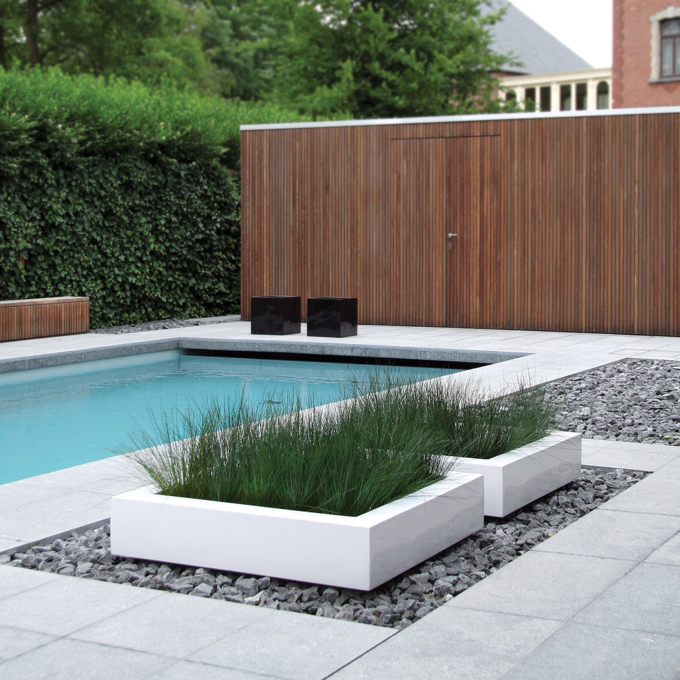 Inspiration for a modern rectangular pool in Other with concrete pavers.