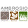 Ambrosio Landscape Solutions