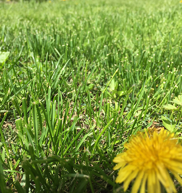 Наши работы