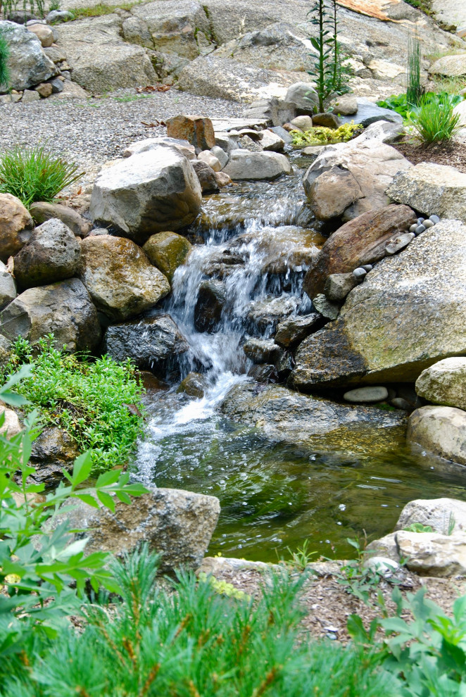 Mittelgroßer, Halbschattiger Klassischer Garten hinter dem Haus mit Flusssteinen in Bridgeport
