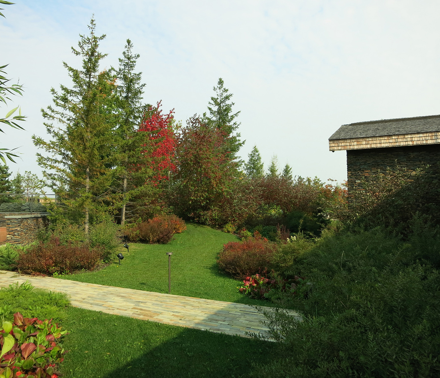 Новый пейзаж