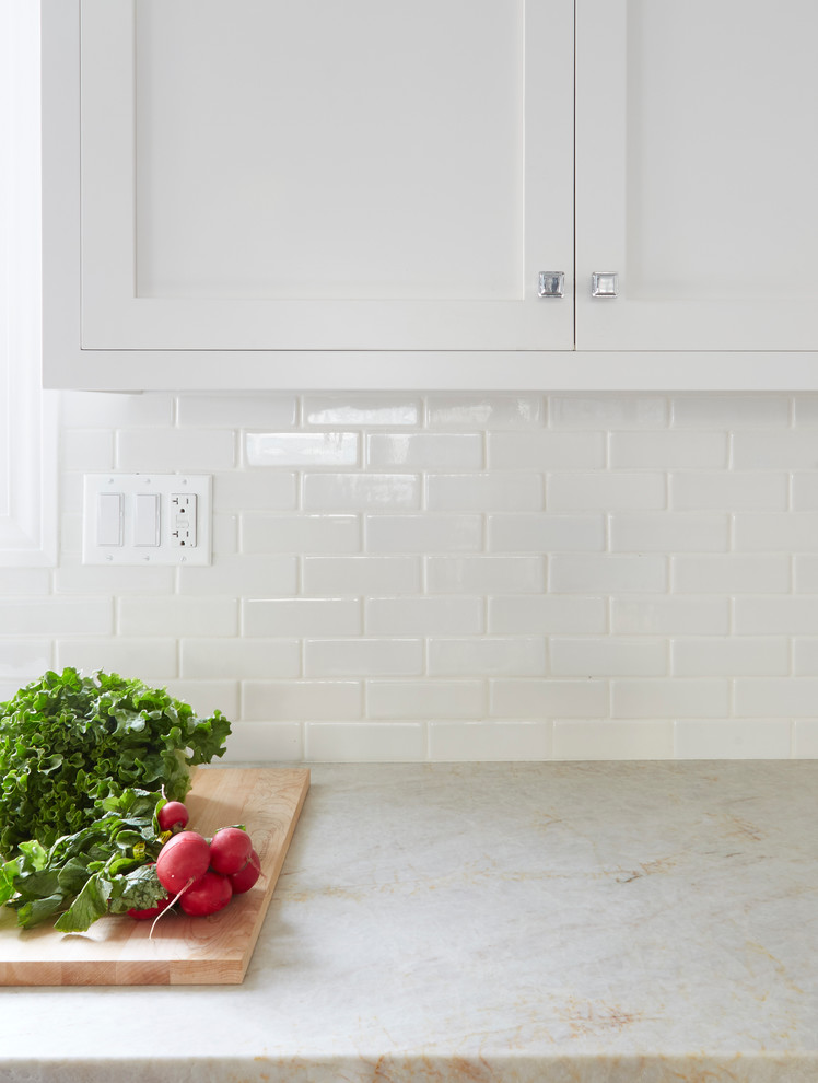 Inspiration for a transitional home design remodel in Chicago