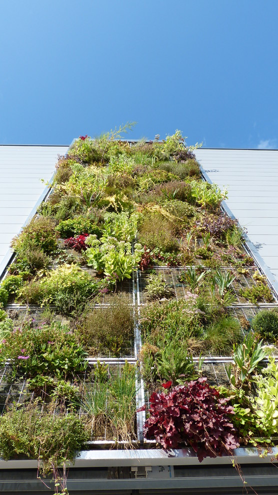 Exemple d'une façade de maison exotique.