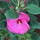 Last commented by CindyZ4b