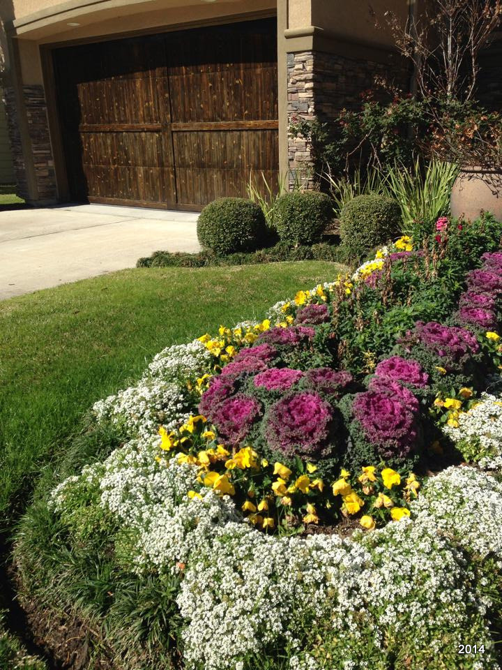 Photo of a small transitional front yard full sun formal garden for fall in Houston.