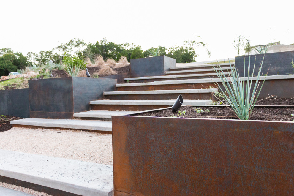 Large modern front xeriscape full sun garden for summer in Austin with a pathway and mulch.