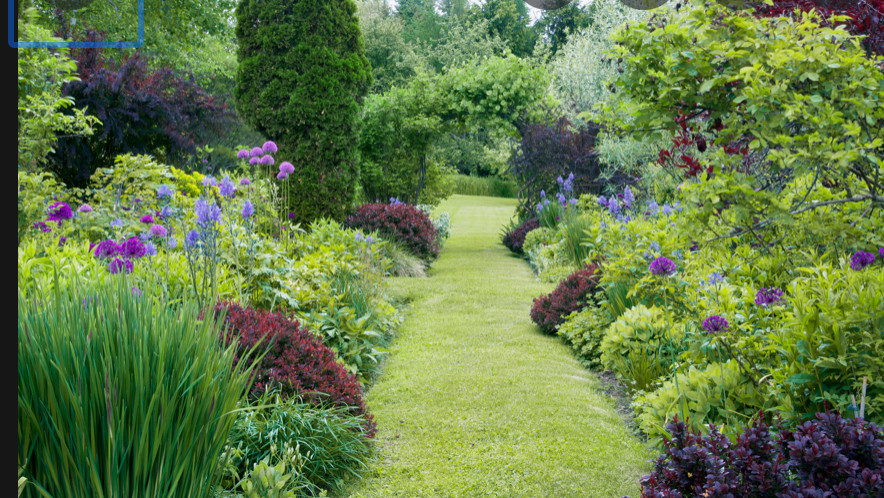 Flower Garden1