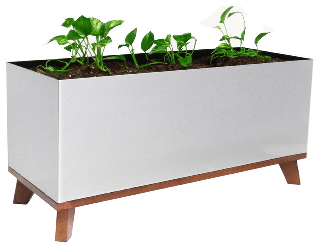 AR1, Planter with Maple Base