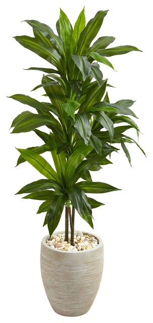 Artificial Plant 4 Foot Dracaena with Sand Colored Planter Silk Plant