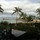 alison_warners