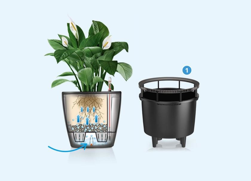 Автоматический полив домашних растений своими руками: DIY с моторчиком от омывателя и таймером