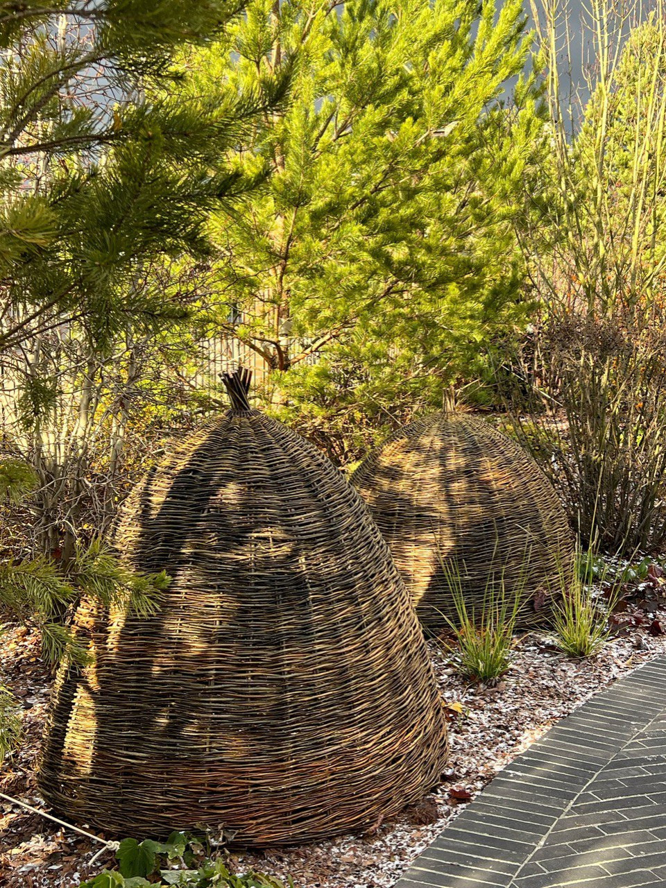 Английская история