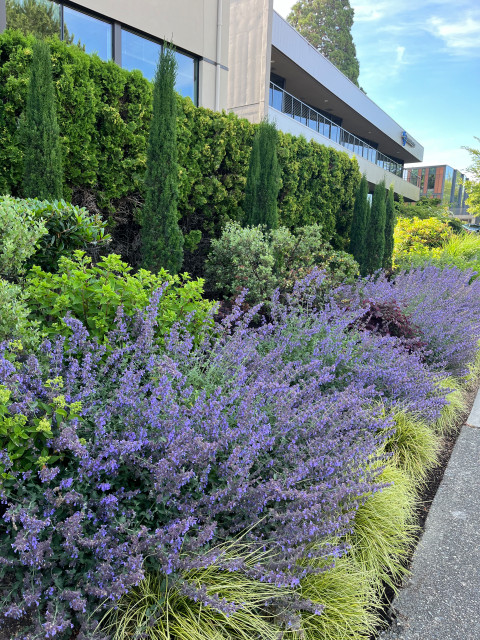 Northstream office space mediterran-garten