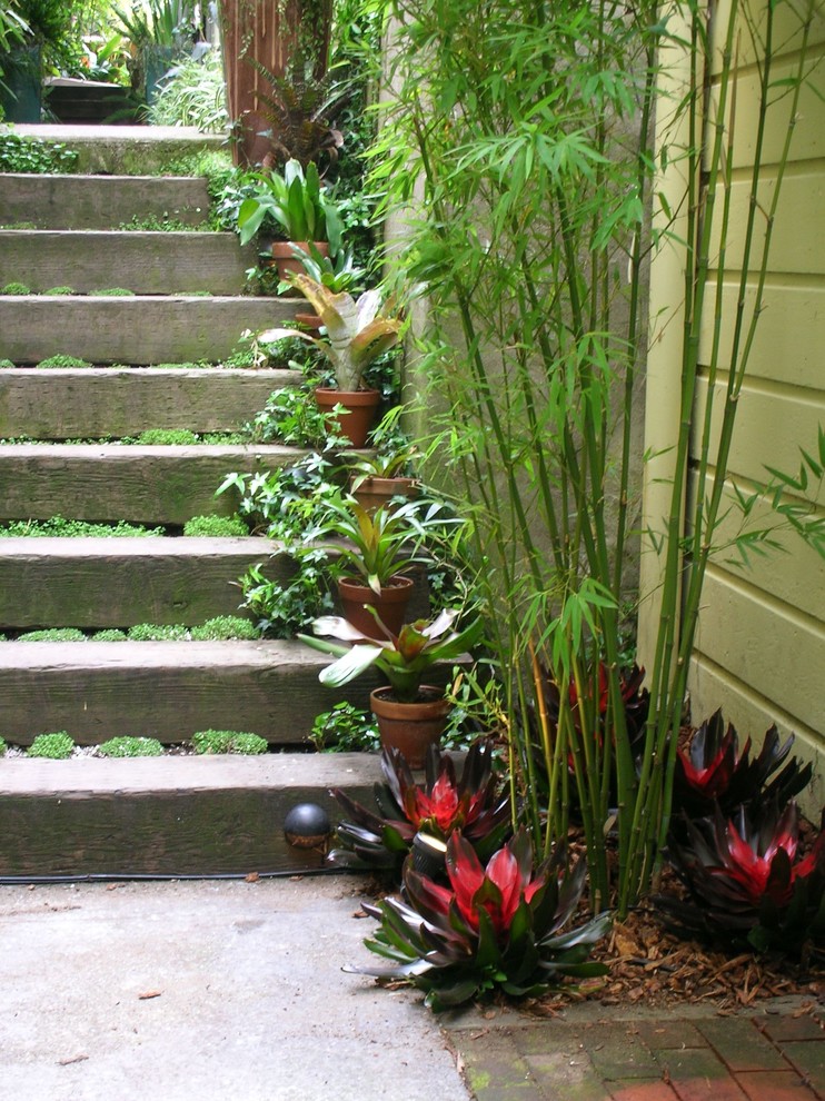 Inspiration for a tropical patio in San Francisco.