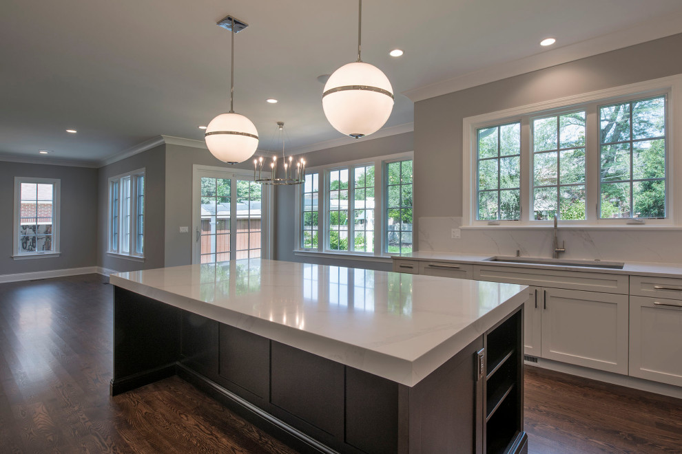 Example of a transitional home design design in Chicago