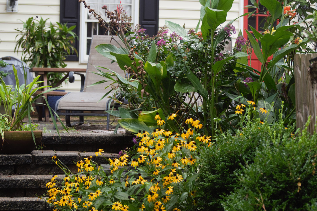 Cottage Gardens
