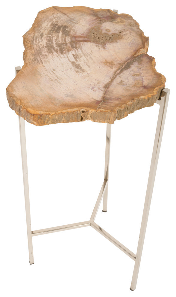 Petrified Wood Side Table Contemporary Tables And End By Phillips Collection - Phillips Collection Petrified Wood Side Table Petrified Wood Side Table Contemporary Tables And End By Phillips Collection - Phillips Collection Petrified Wood Side Table