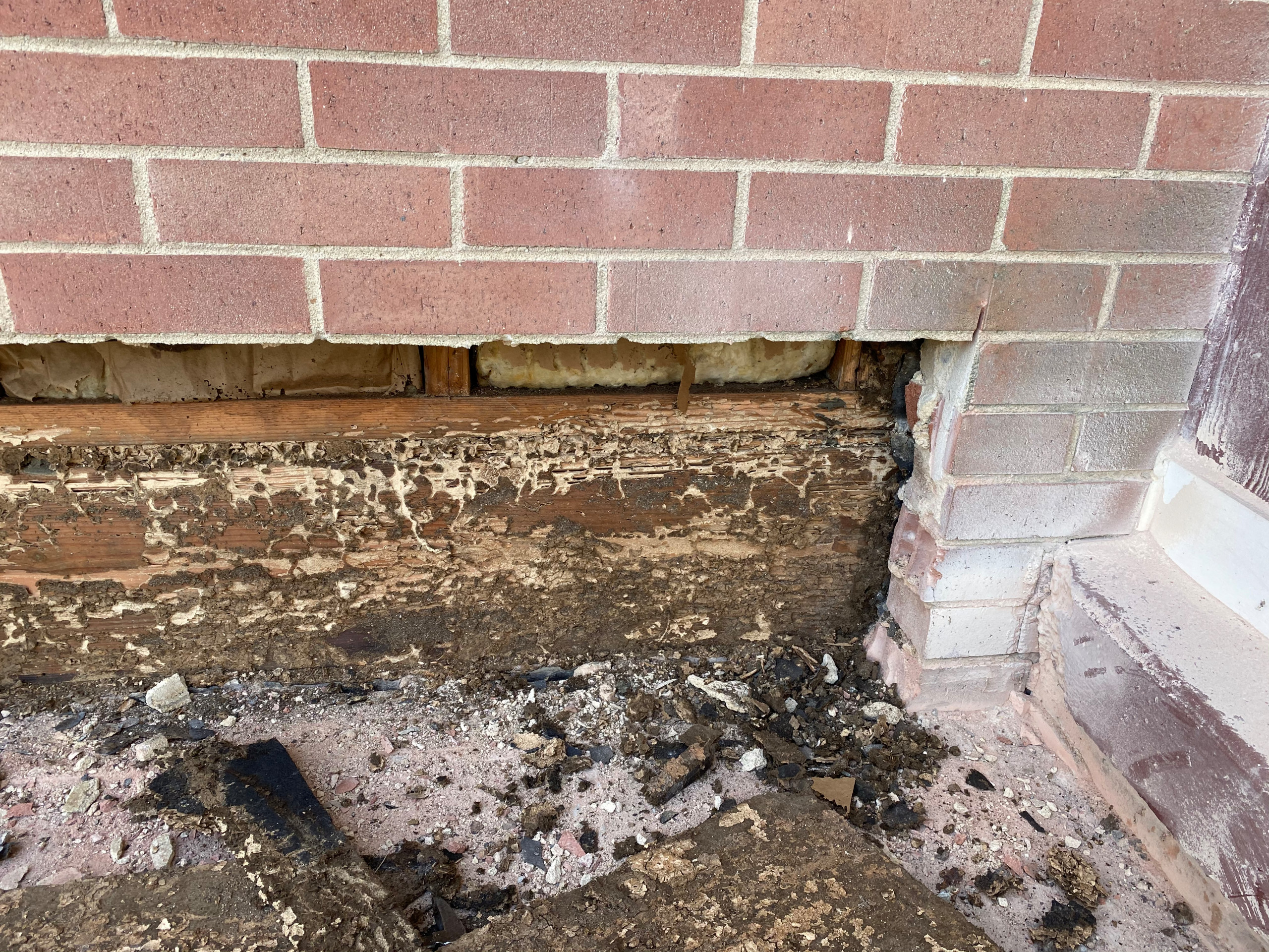 Termite Damage Rim Joist Repair