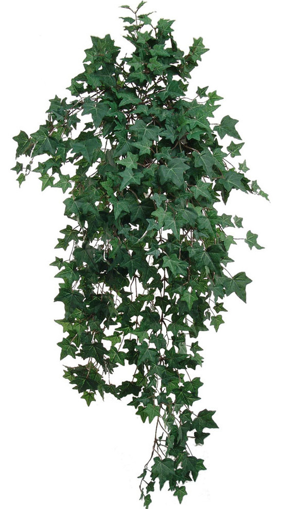 Silk English Ivy Hanging Bush 12 Pcs  39" 709 Lvs Silk House Plant Fake Ivy