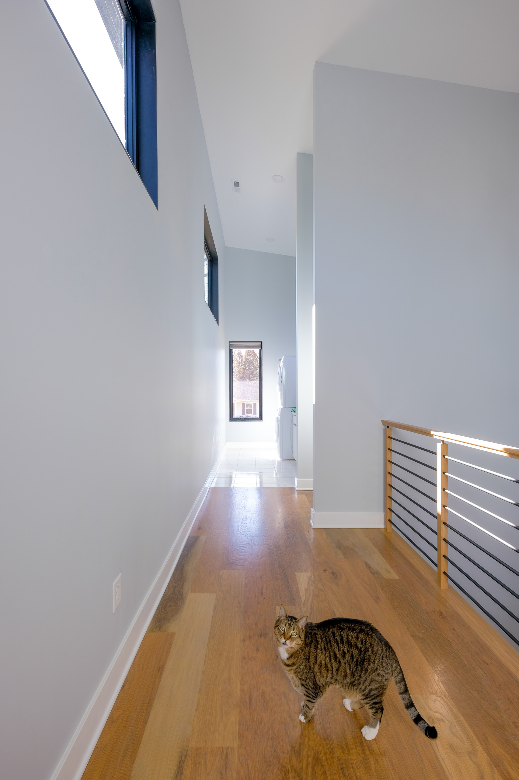 Modern Home Design
