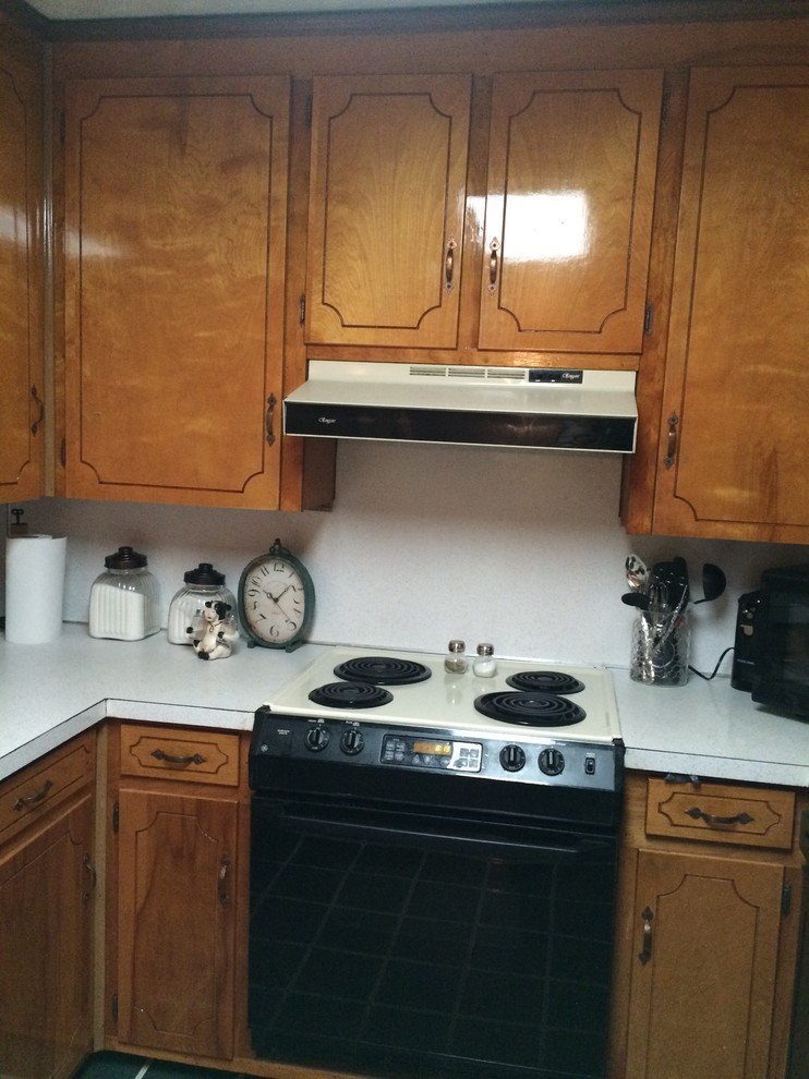 What should I do with these kitchen ?! Should I paint them