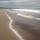 tracy_gwynne