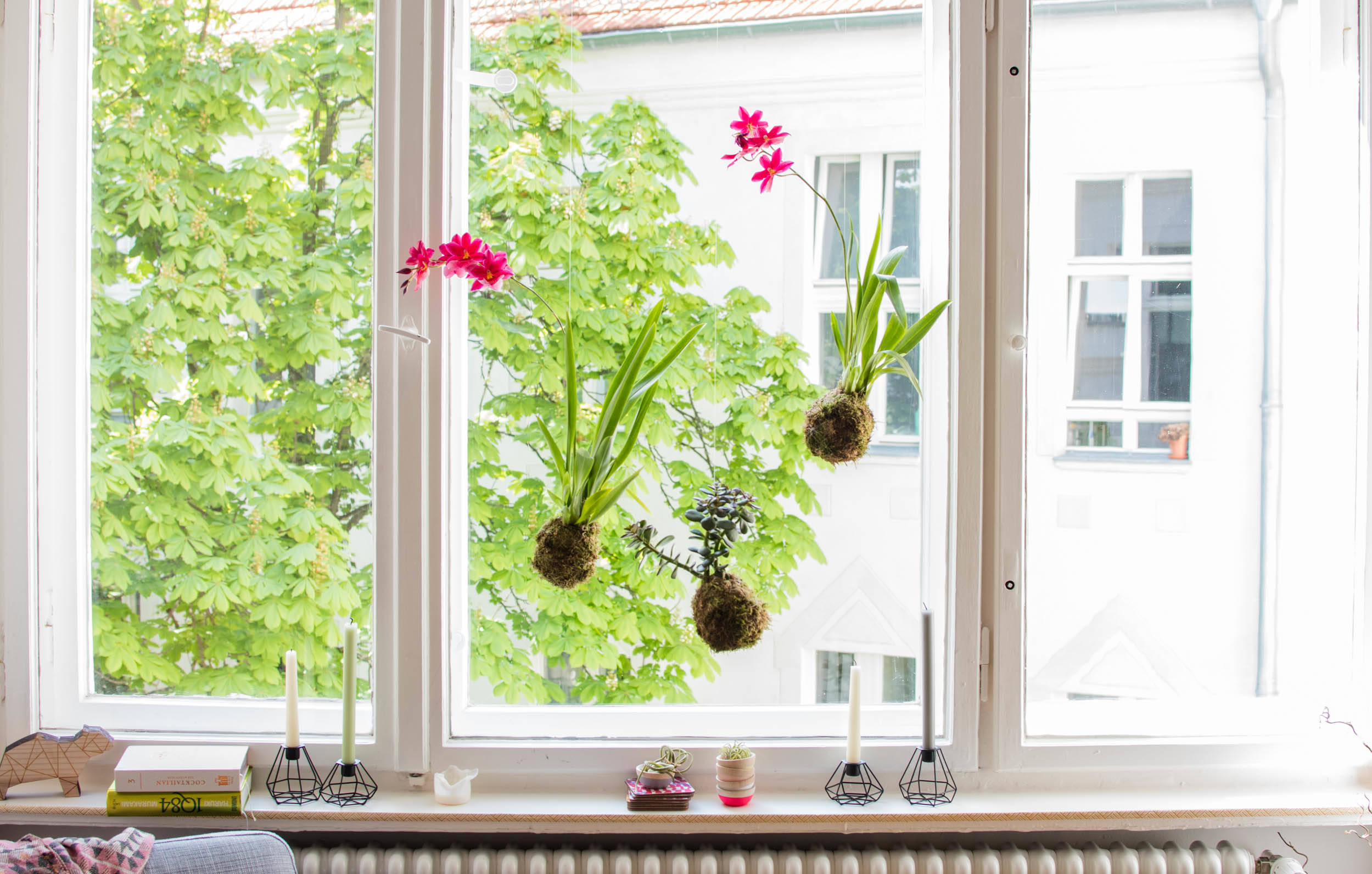 пластиковые окна в интерьере с цветами