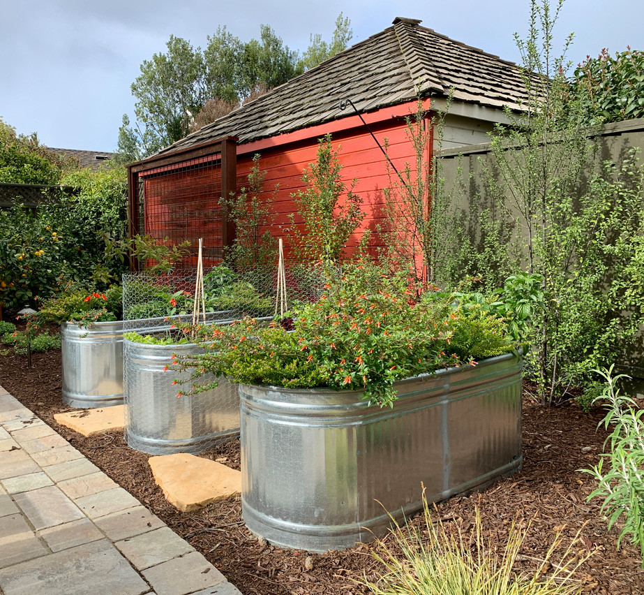 Mittelgroßer Landhausstil Garten im Sommer, hinter dem Haus mit Kübelpflanzen, direkter Sonneneinstrahlung, Betonboden und Holzzaun in San Francisco