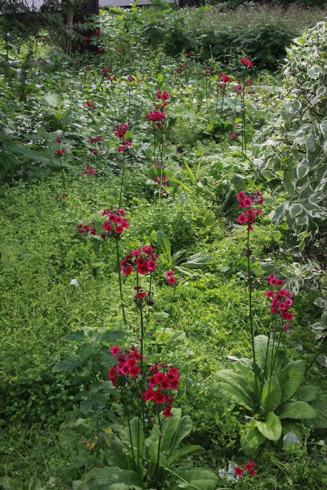 Цветочек аленький