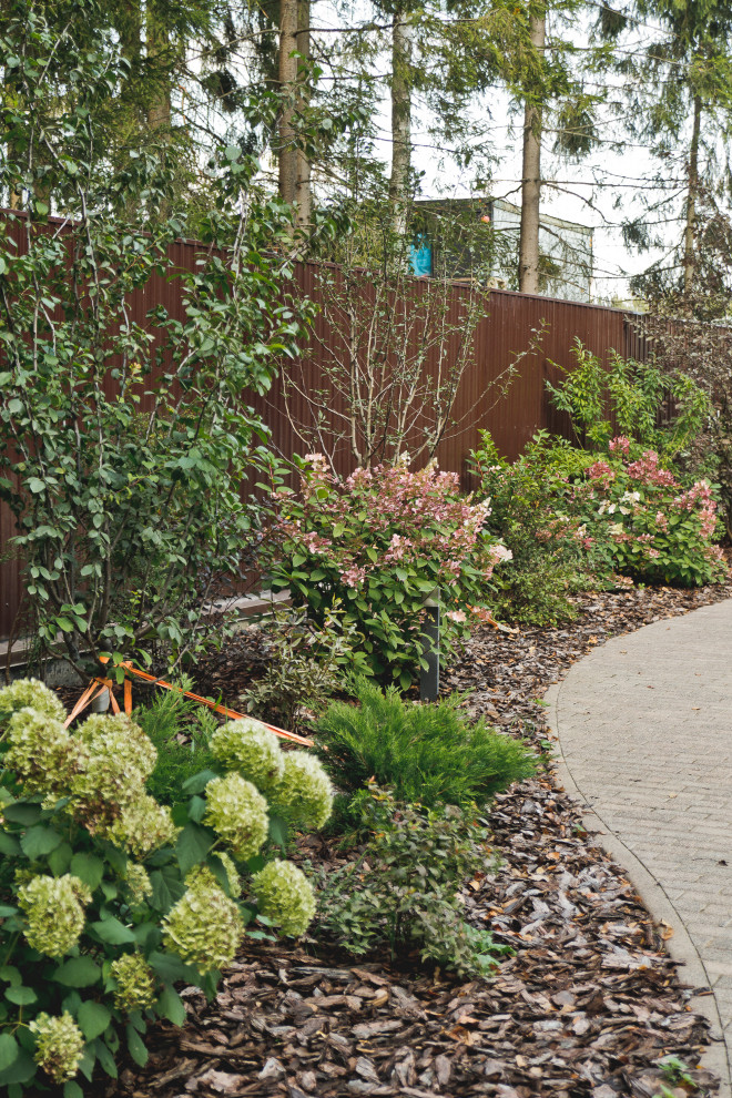 Сад на краю леса