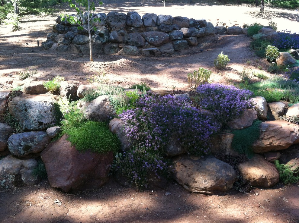 Inspiration for a traditional garden in Sacramento.