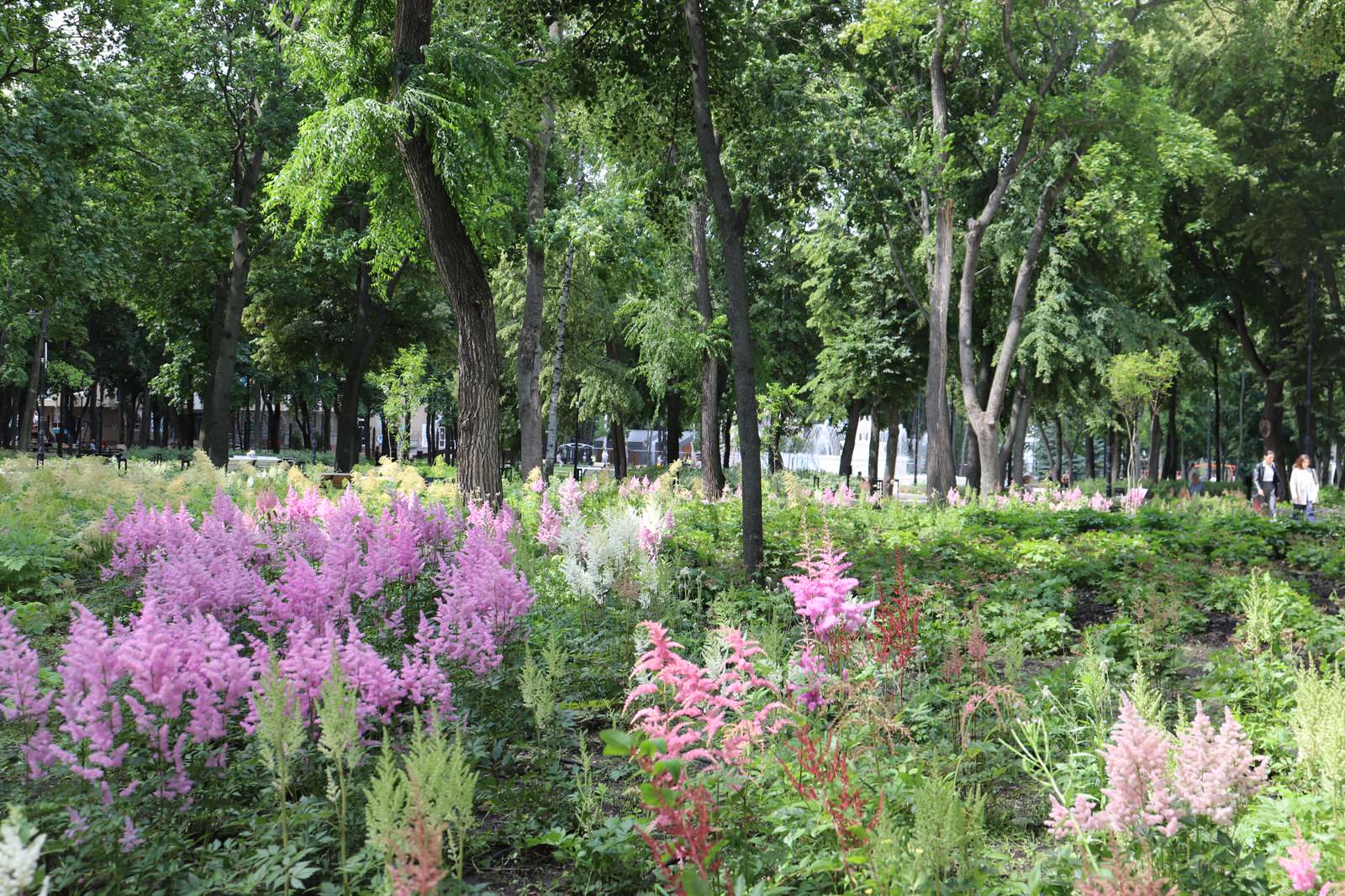 Парк Орленок