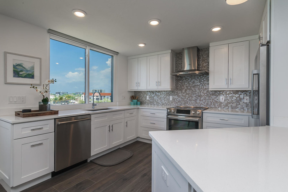 This is an example of a modern kitchen in Tampa.