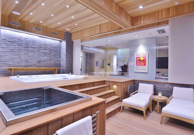 Saunas Home Gym New York By Ocean Spray Hot Tubs And