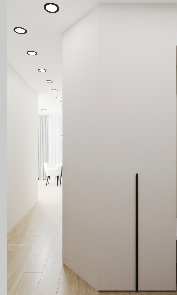 Дизайн проект однокомнатной квартиры