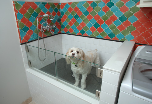 dog wash cost