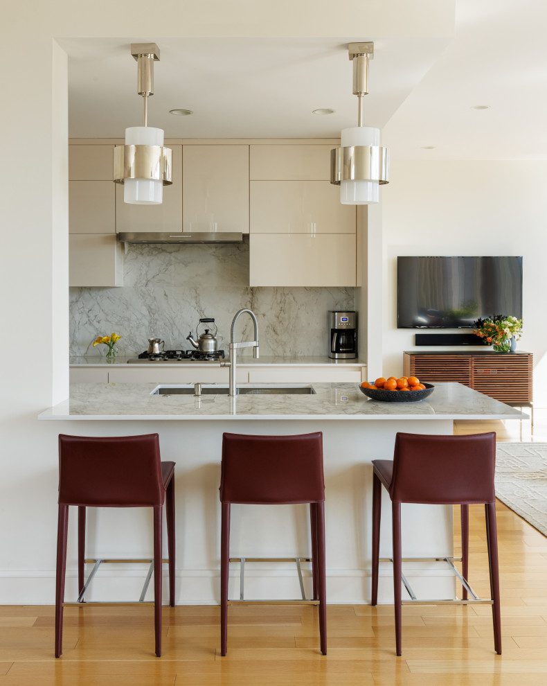 Upper West Side Penthouse - Contemporary - Kitchen - Other - by Dora ...