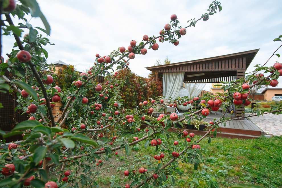 Сад "Каликат"