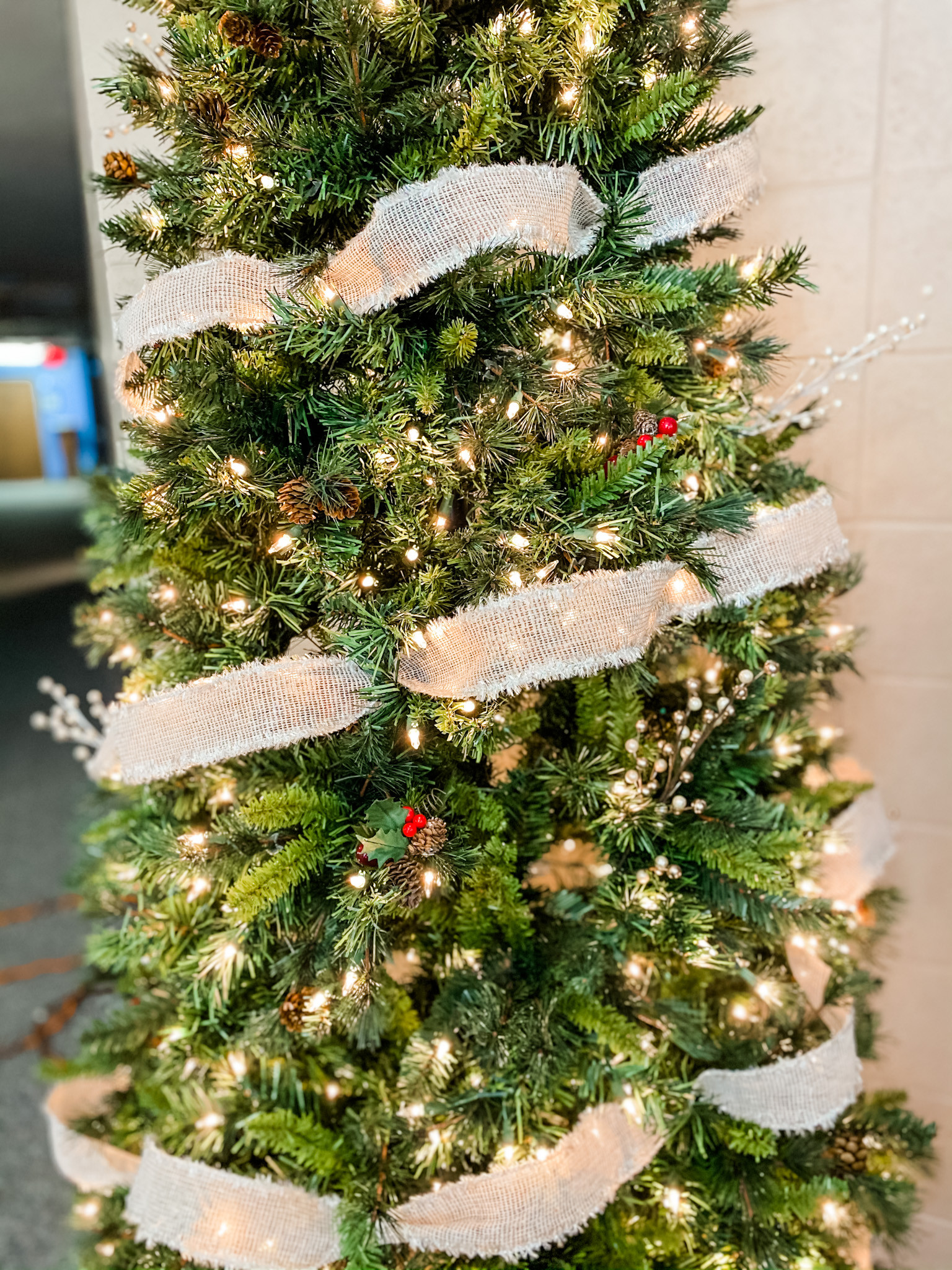 Draper Park Church Christmas Trees