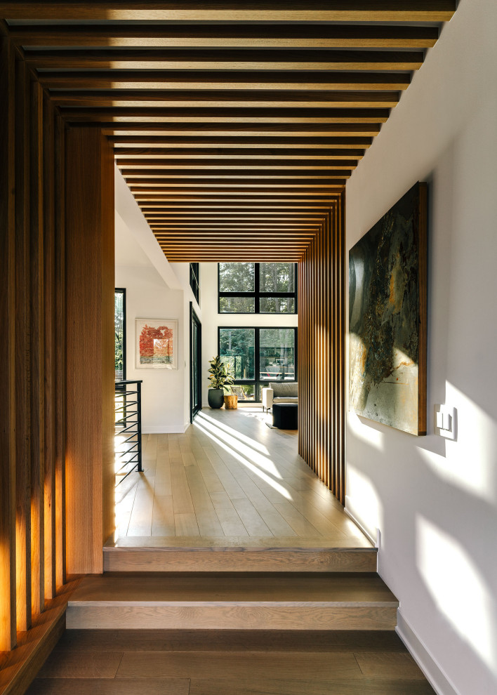 Esempio di un grande ingresso o corridoio minimalista con pareti bianche, parquet chiaro e pavimento marrone