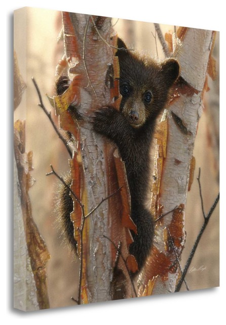 Collin Bogle Curious Cub I Bear Cub Art Print Poster 12x12