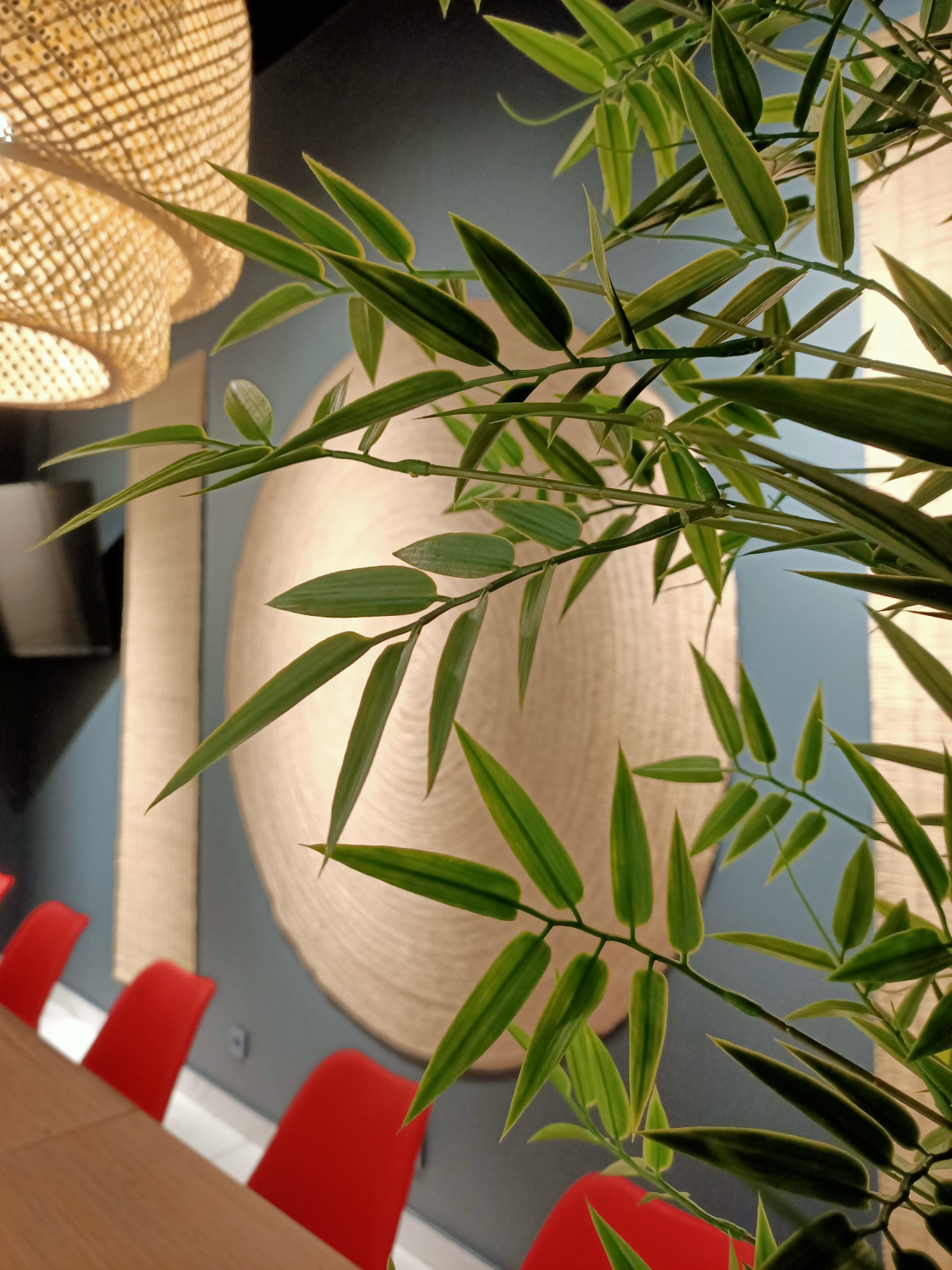 КОМНАТА ОТДЫХА В ОЗДОРОВИТЕЛЬНОМ КОМПЛЕКСЕ