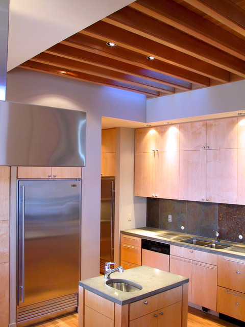 interior 1 contemporary-kitchen