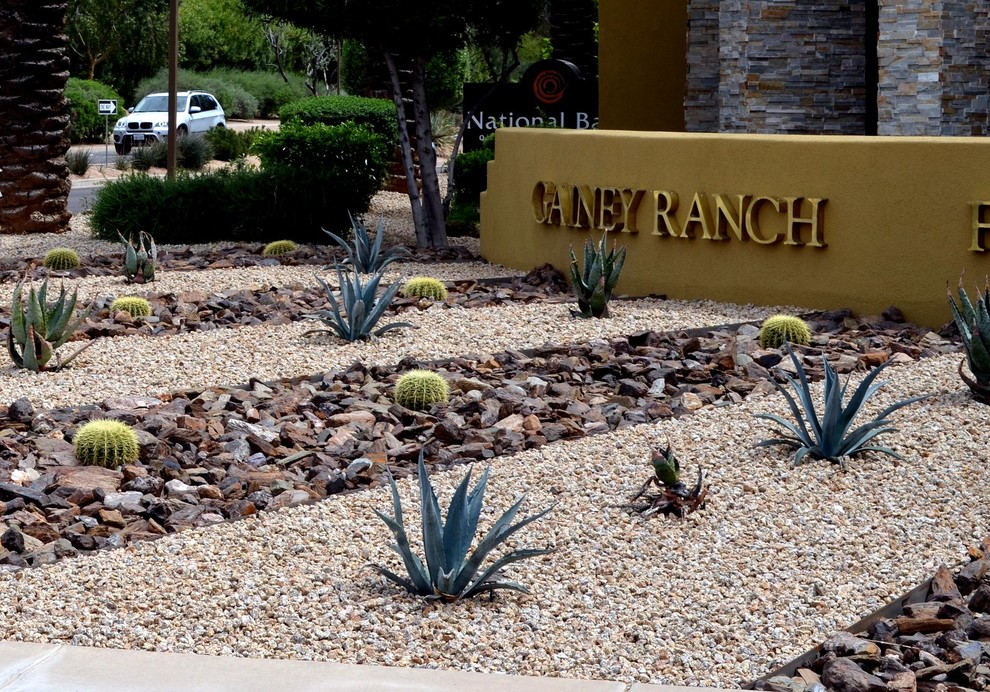 Decorate the Landscape With Versatile Agave