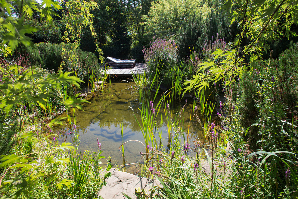 Garden of Elena Astashkina in Moscow Region